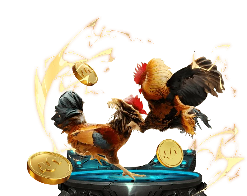 Kiểm tra giấy phép casino